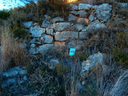 Restes de mur del poblat de l’edat del bronze.